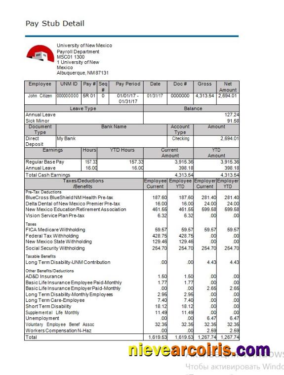 University of New Mexico paystub in  formats